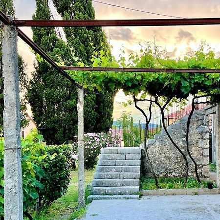 Apartman Boljevic Podgorica Bagian luar foto