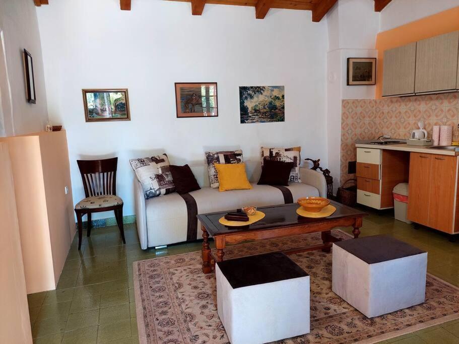 Apartman Boljevic Podgorica Bagian luar foto