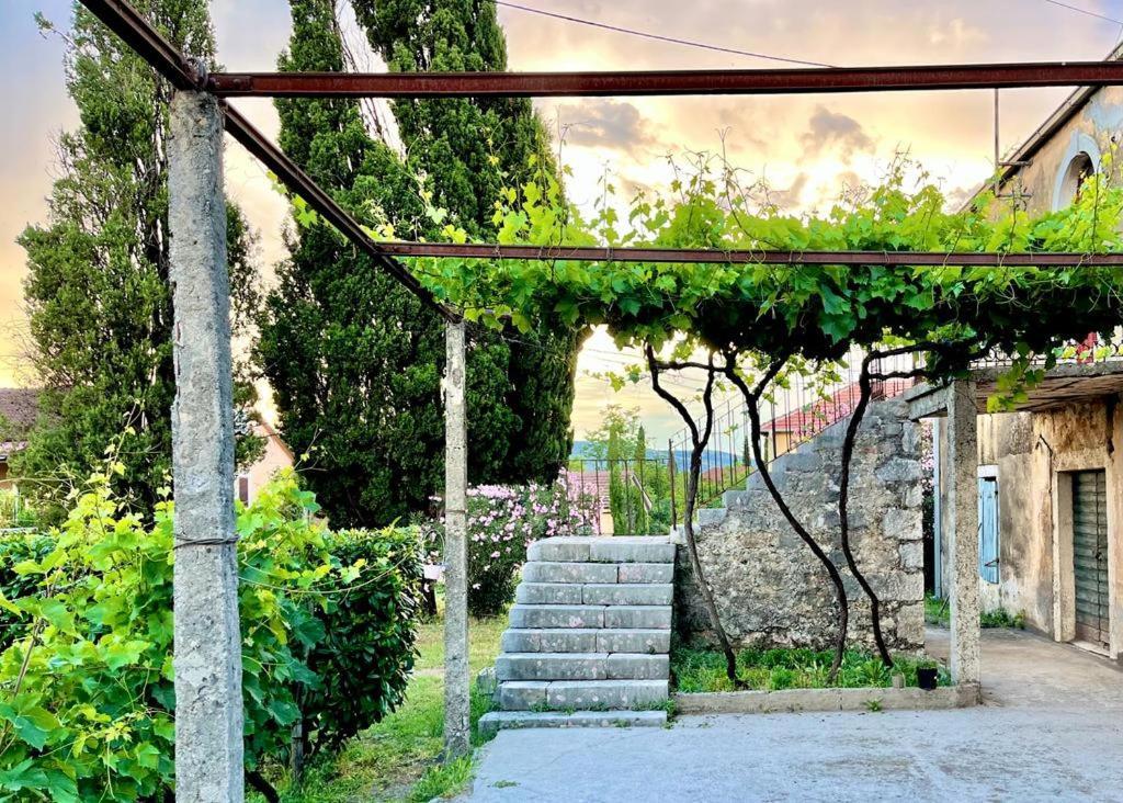 Apartman Boljevic Podgorica Bagian luar foto