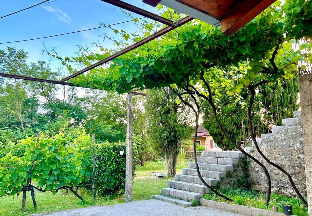 Apartman Boljevic Podgorica Bagian luar foto