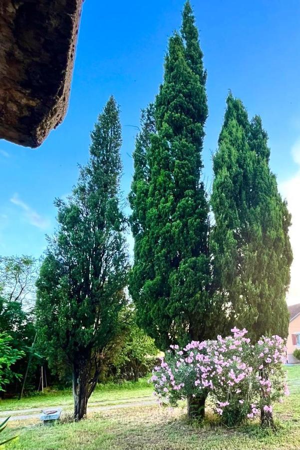 Apartman Boljevic Podgorica Bagian luar foto